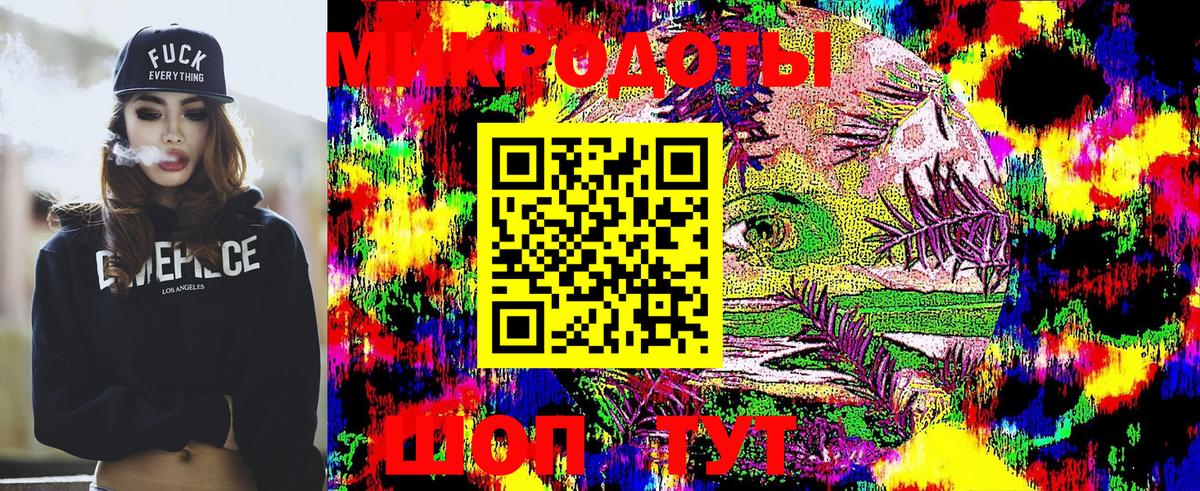 Псилоцибиновые грибы Cubensis Салехард