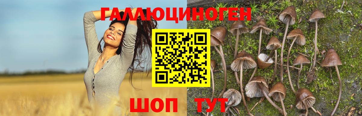 Галлюциногенные грибы Magic Shrooms  Вход с VPN  Салехард  Галлюциногенные грибы MAGIC MUSHROOMS 